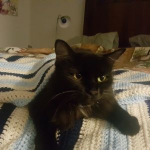 Meet your Posher, Sharon